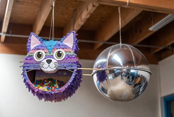 Snippets Concepts Cat Pinatas