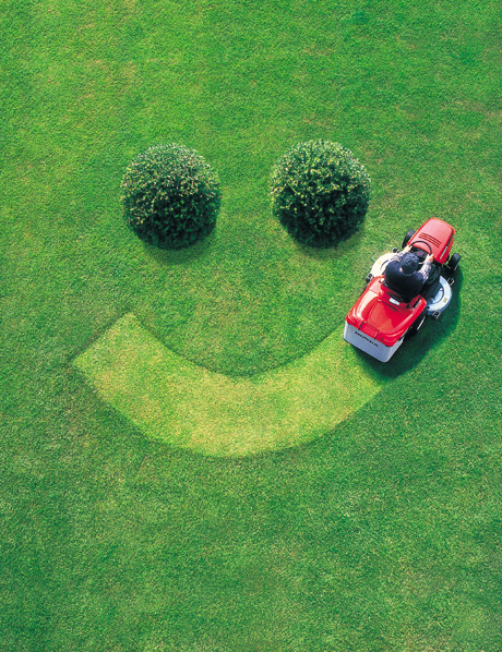 lawn.jpg
