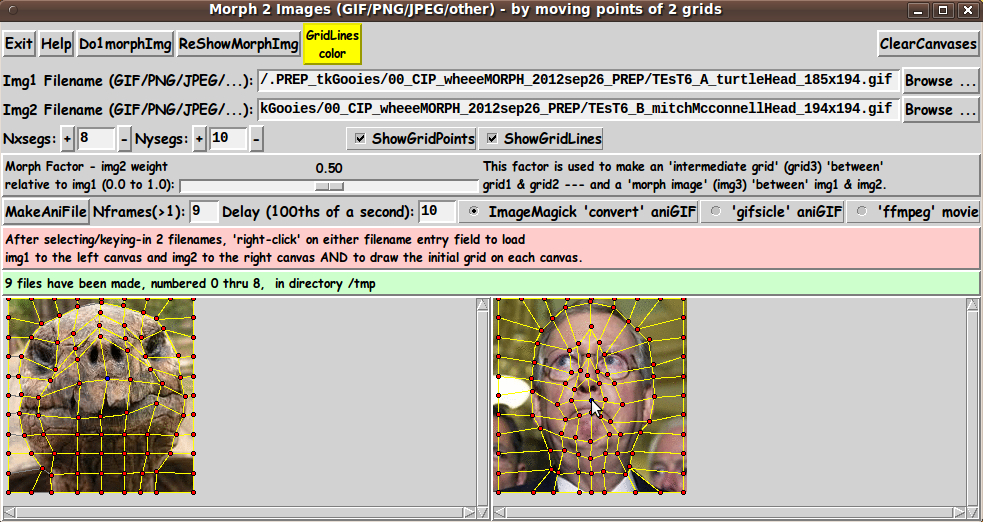 wheeeMorph_turtleTOmcconnel_GUI_deformed-grids_framesMsg_983x522.jpg